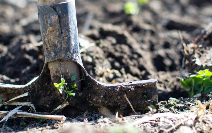A close up shot a shovel digging into a patch of dirt