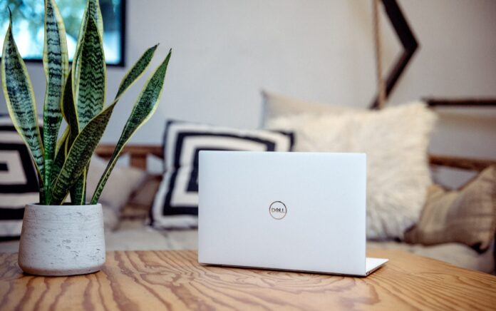 Computer and office with plant