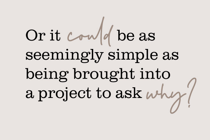 Graphic that says: or it could be as seemingly simple as being brought into a project to ask why?