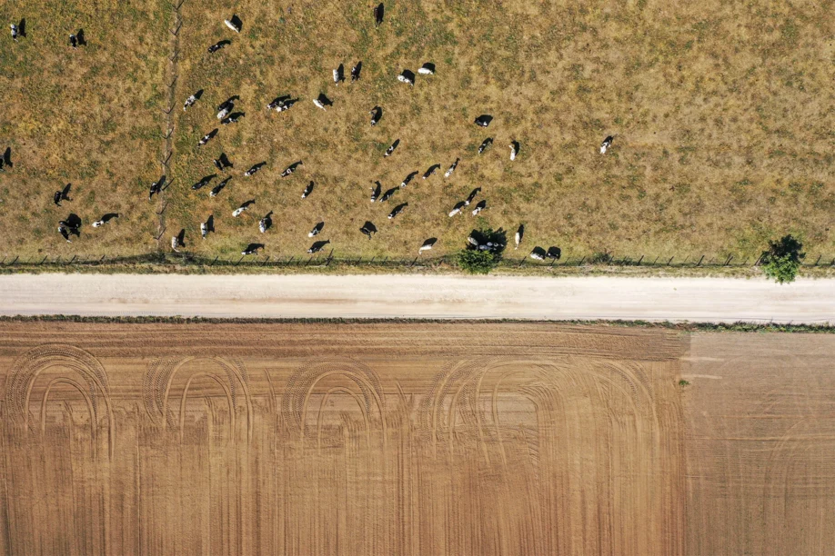 The current image has no alternative text. The file name is: Farm-Header-Image.webp